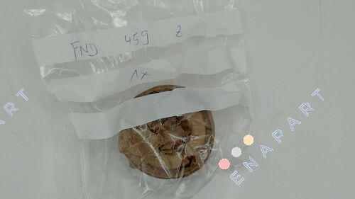 19FND459Z - FND 459 Z