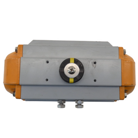 PT250-S21-L