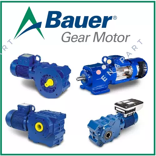 BS06-31V/D08LA62-ZW-S/ESX010A5/SP Tek diskli yaylı frenli sonsuz dişli motor