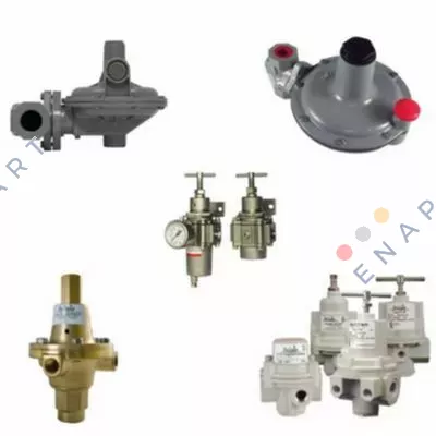 SPC2RM-0-0G100-S42 dönüştürücü buzmatic