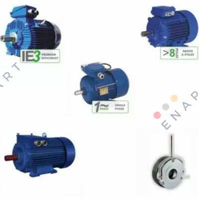 11070000D02A IE3 Premium Verimli Üç Fazlı Asenkron Motor
