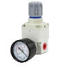 ERX-300-01-N-PG10A-L2