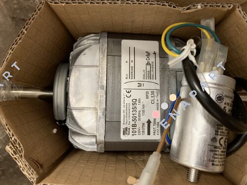 101B-50135/5Q Motor
