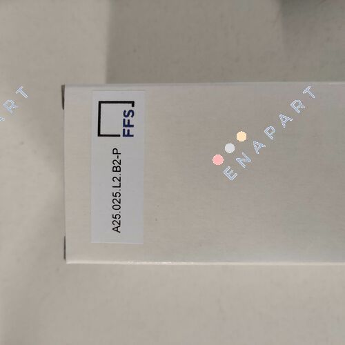 FE A25.025.L2.B2-P filtre elemanı