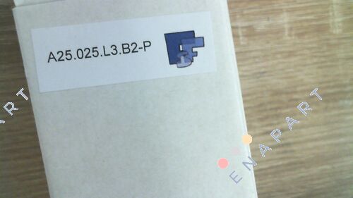 FE A25.025.L3.B2-P filtre elemanı