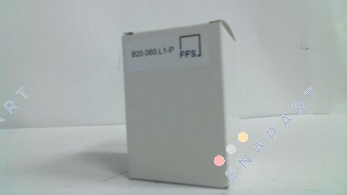 FE B20.060.L1-P filtre elemanı