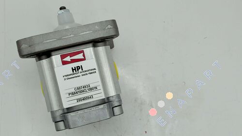 P1BAN1004CL10B01N / C5074932 Dişli pompası, saat wright