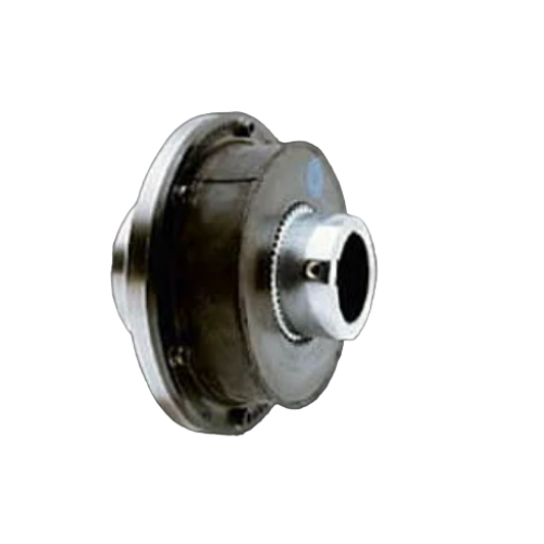 BoWex-ELASTICG65HEWT40770U