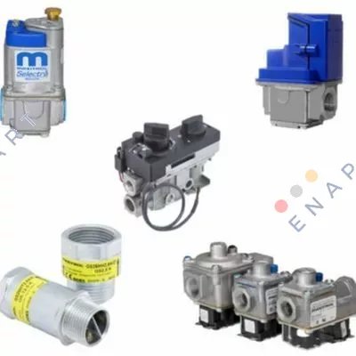 5009 / 66 / G gaz basınç regülatörü