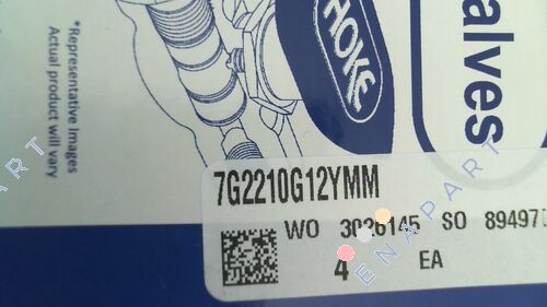 7G2210G12Y/MM Küresel vana