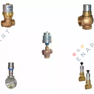 Z200306E  TEKNİK B PTFE + fpm D.A. BSP 1"